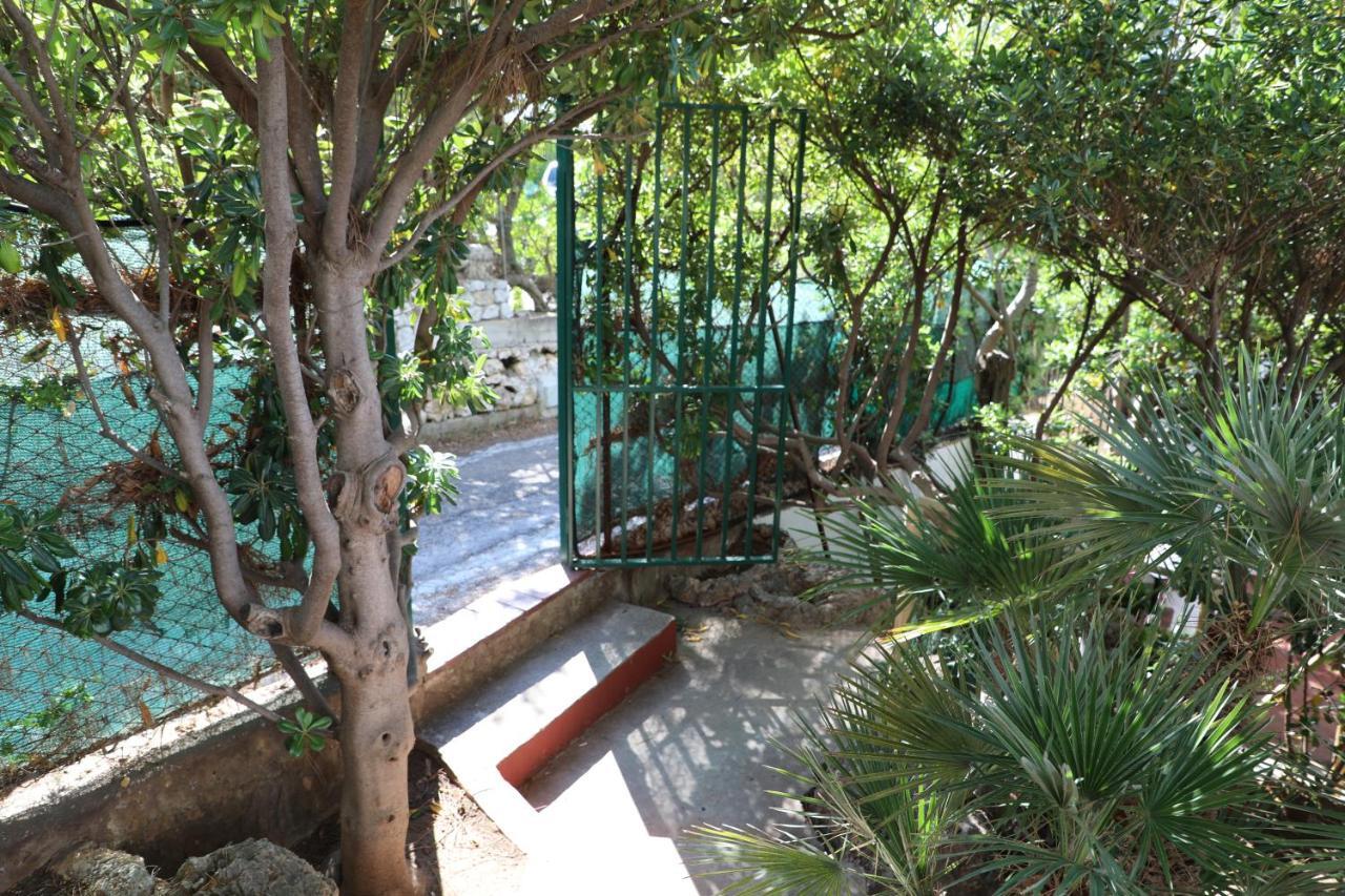 Casa Elvira Terrasini