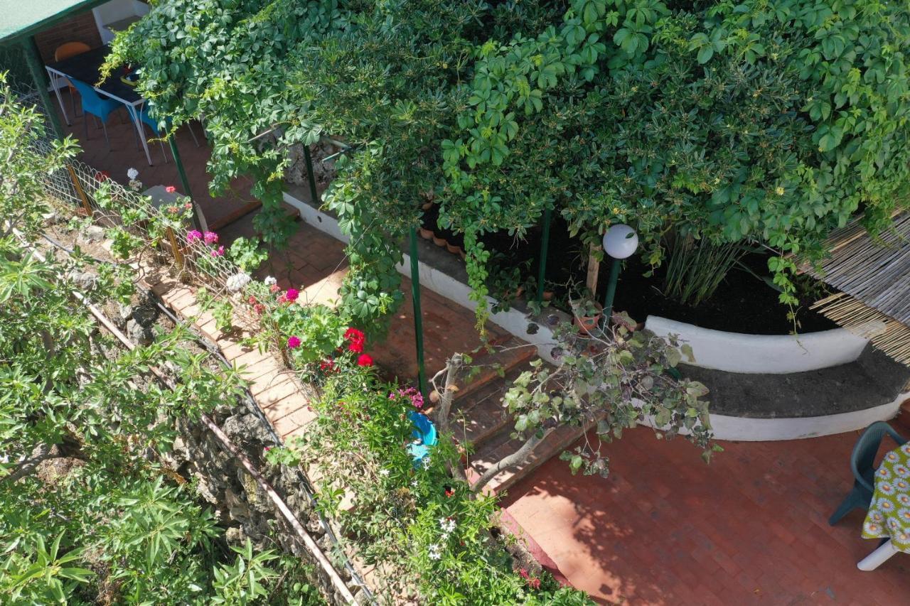 Holiday home Casa Elvira Terrasini